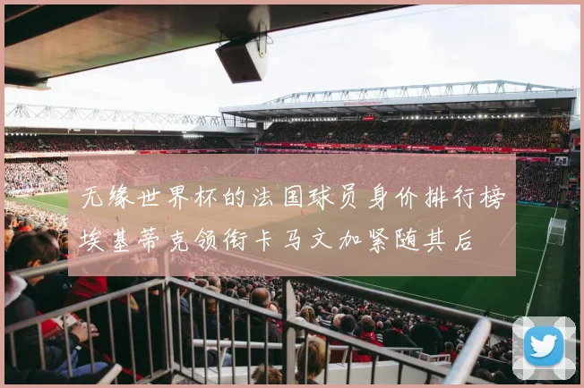 无缘世界杯的法国球员身价排行榜埃基蒂克领衔卡马文加紧随其后