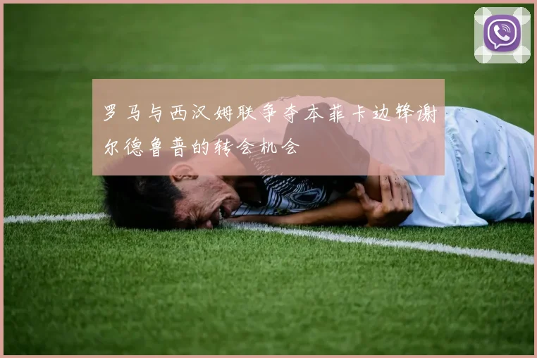 罗马与西汉姆联争夺本菲卡边锋谢尔德鲁普的转会机会